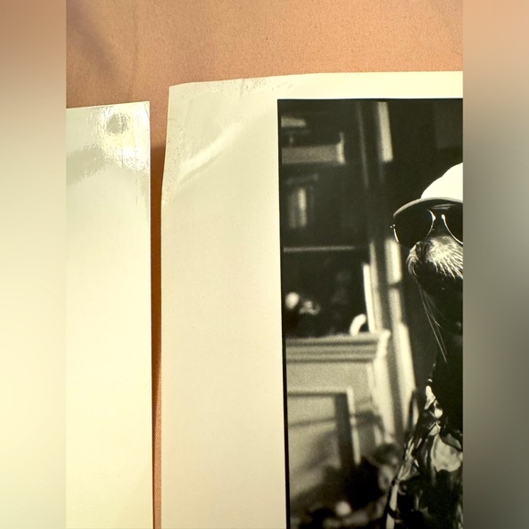 ❤️”ANDRE”MEMORABILIA PRESS INFORMATION ON❤️HOLLYWOOD COLLECTABLES❤️ - Picture 9 of 11